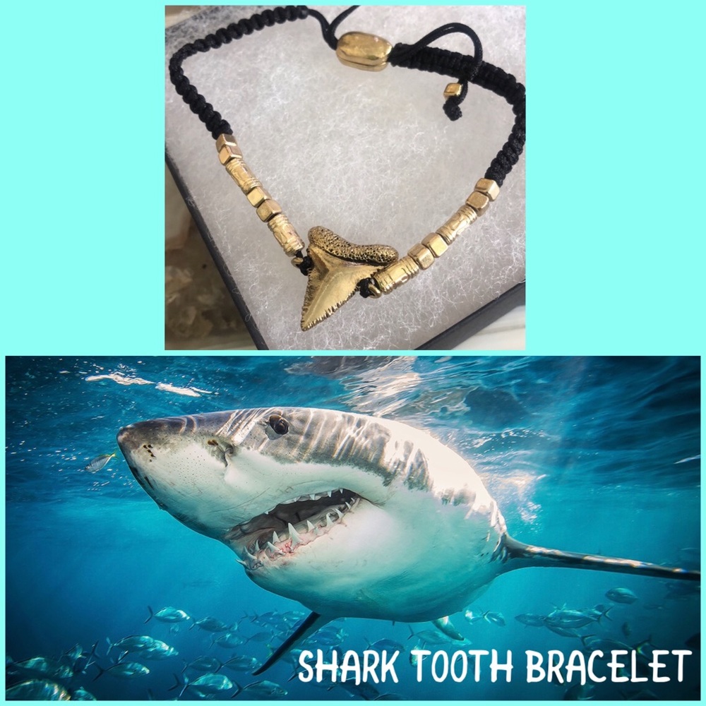 Golden Shark Tooth Bracelet-Boutique